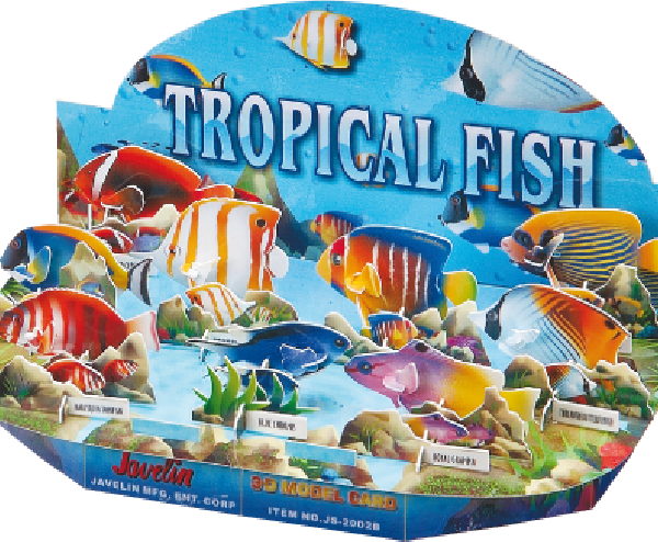 3DPuzzle_TropicalFish_707_494_90